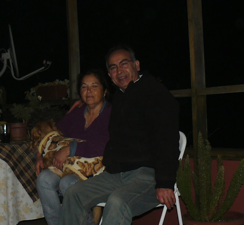 P1430733.JPG