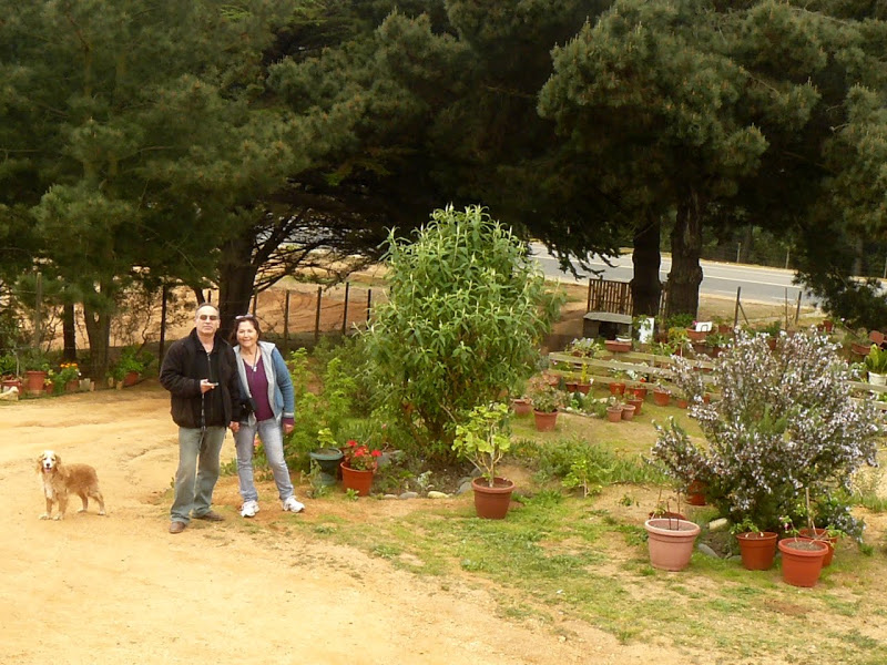 P1430749.JPG