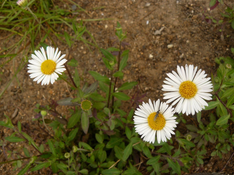 P1430764.JPG