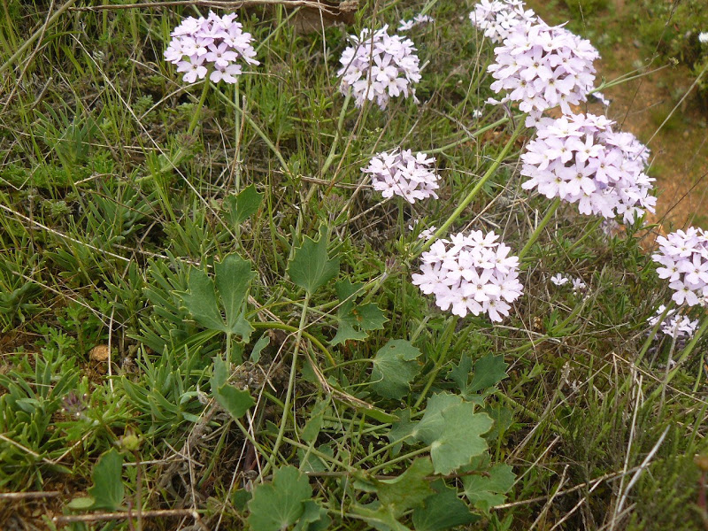 P1430773.JPG