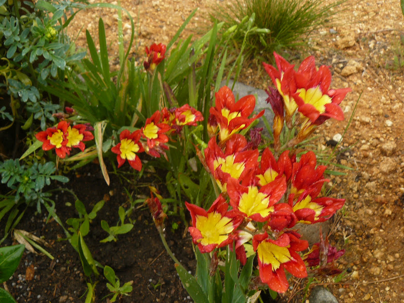 P1430794.JPG