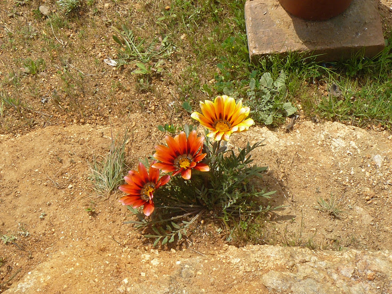 P1430861.JPG