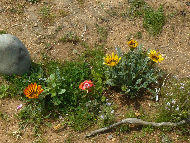 P1430862.JPG