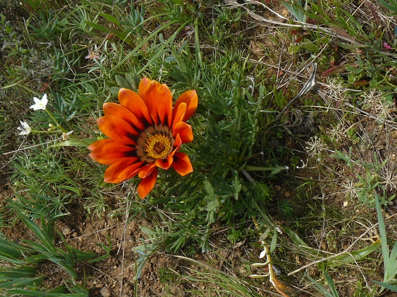 P1430865.JPG