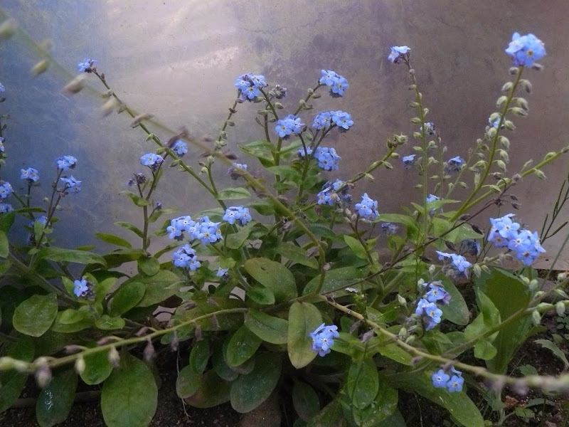 P1430870.JPG