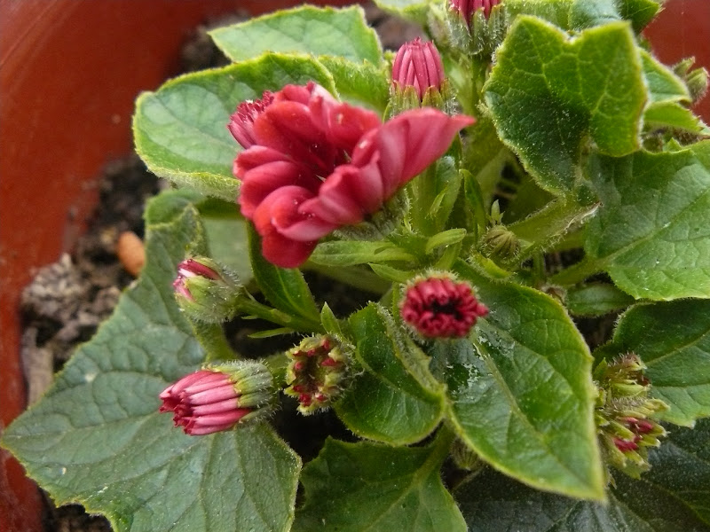 P1430893.JPG
