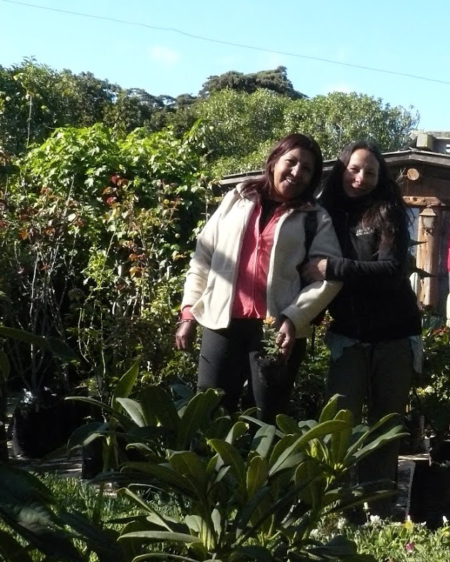 P1430976.JPG