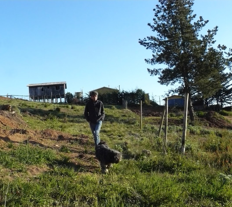P1440017.JPG