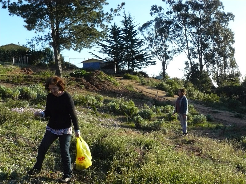 P1440022.JPG