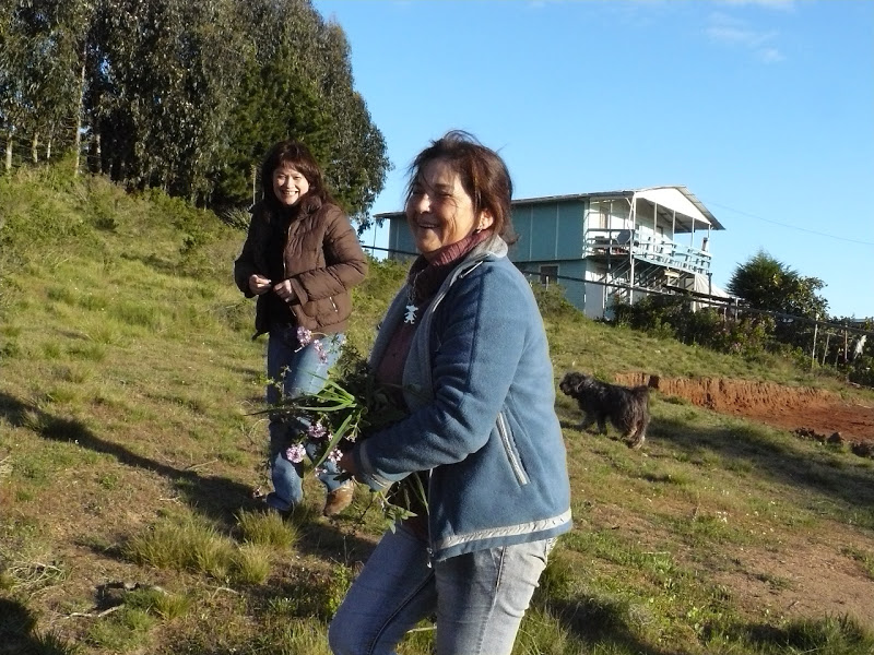 P1440027.JPG