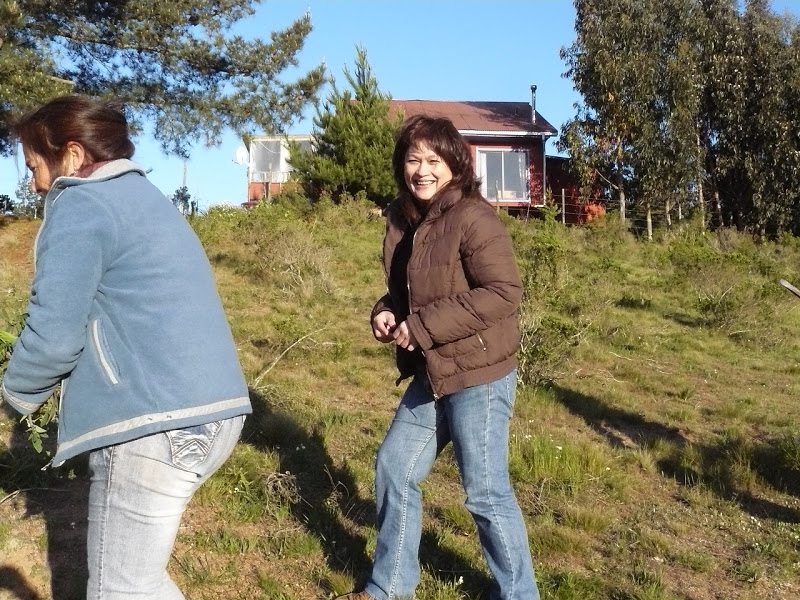 P1440029.JPG