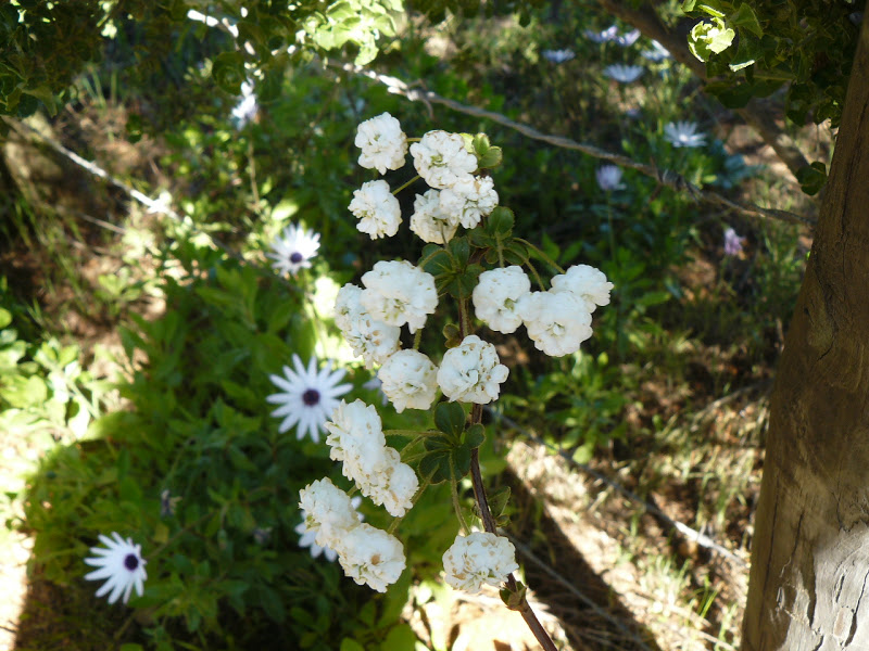 P1440037.JPG