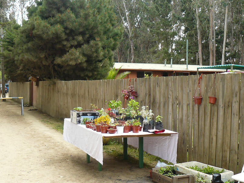 P1440149.JPG