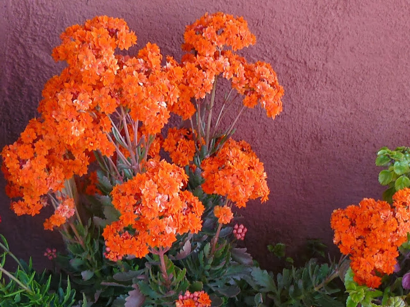 P1440280.JPG