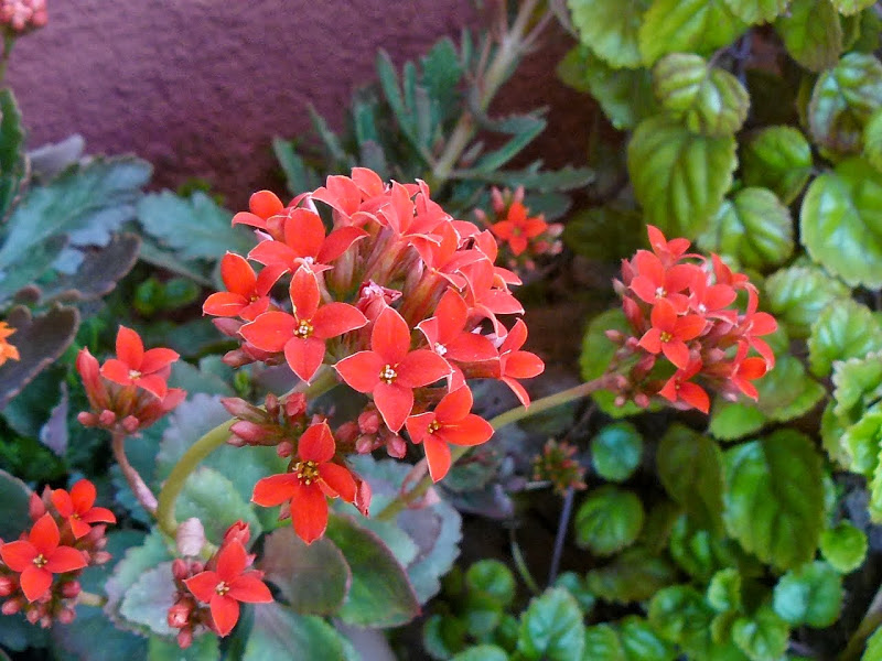 P1440284.JPG