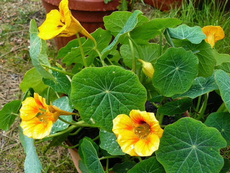 P1440331.JPG