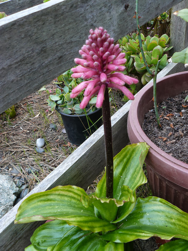 P1440340.JPG