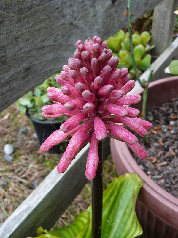 P1440341.JPG