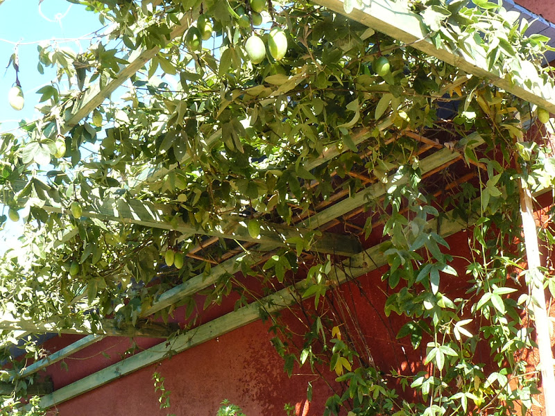 P1440529.JPG