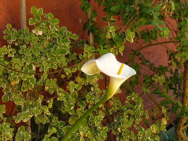 P1440604.JPG