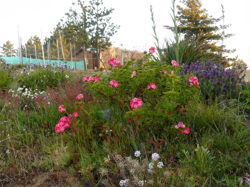 P1440624.JPG