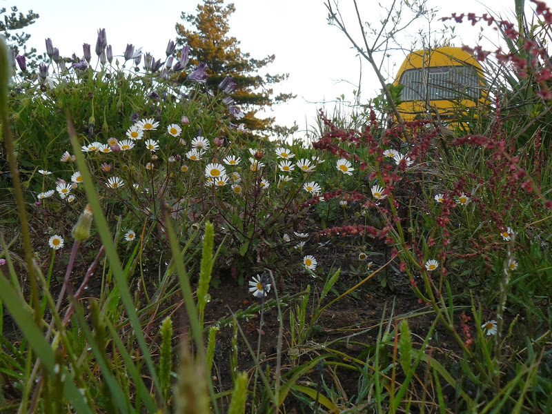 P1440630.JPG