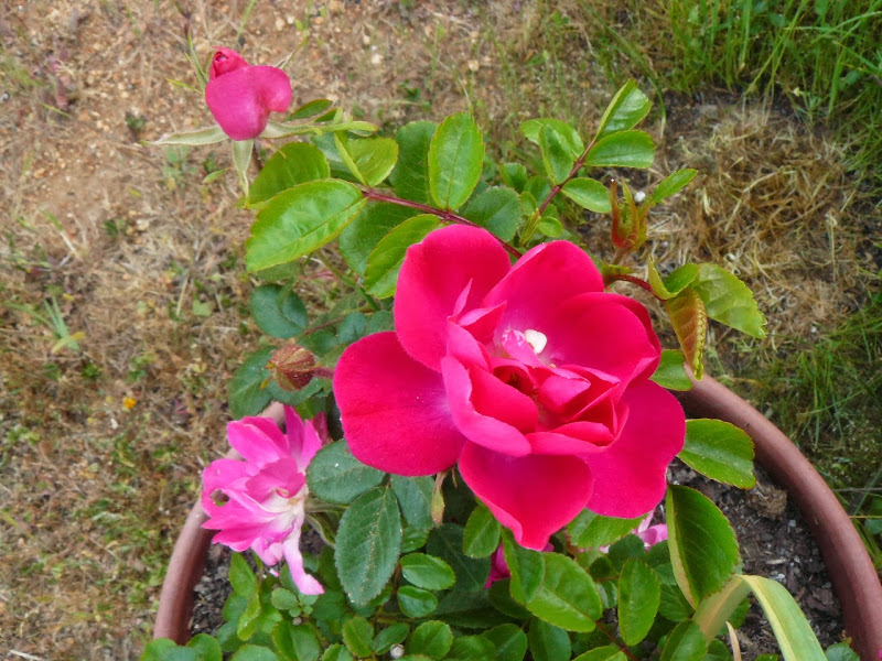 P1440637.JPG