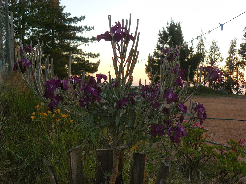 P1440650.JPG