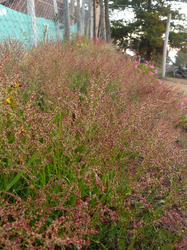 P1440653.JPG