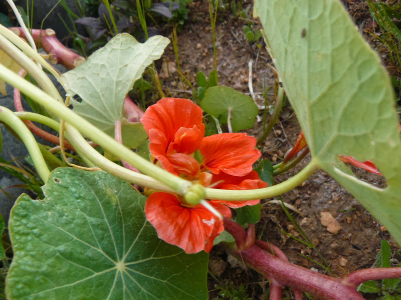 P1440679.JPG
