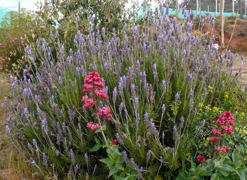 P1440694.JPG