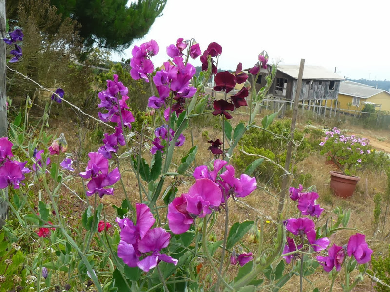 P1460037.JPG