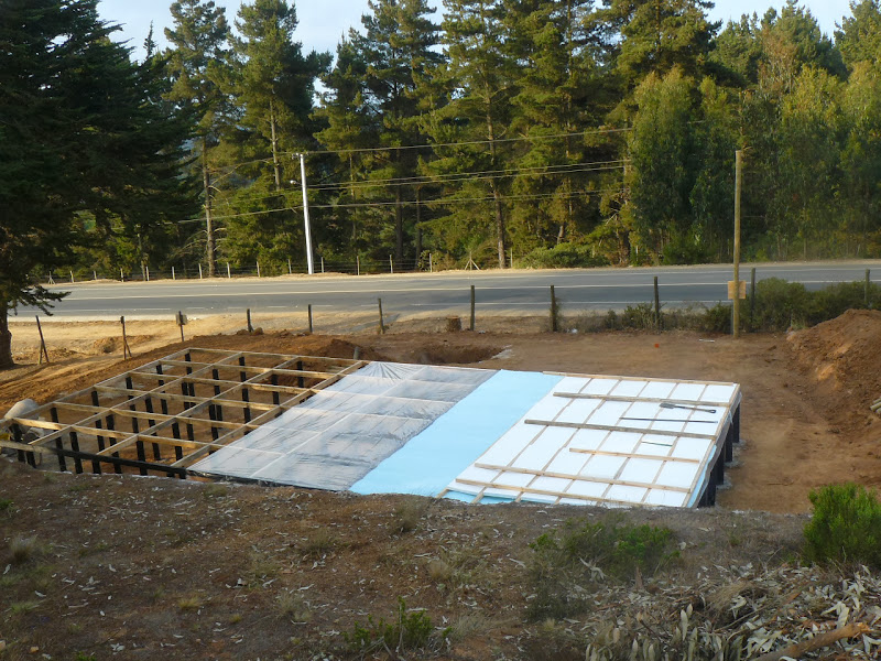 P1460066.JPG
