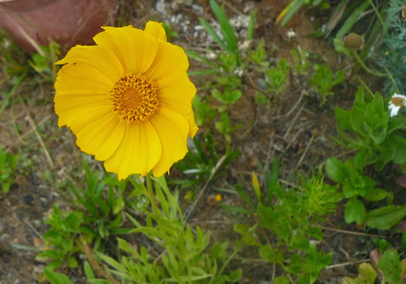 P1460104.JPG