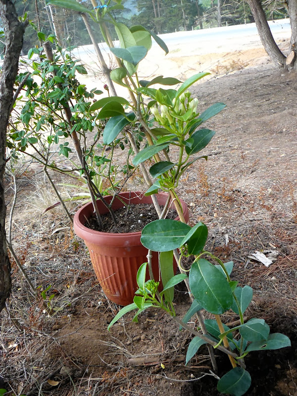 P1460144.JPG