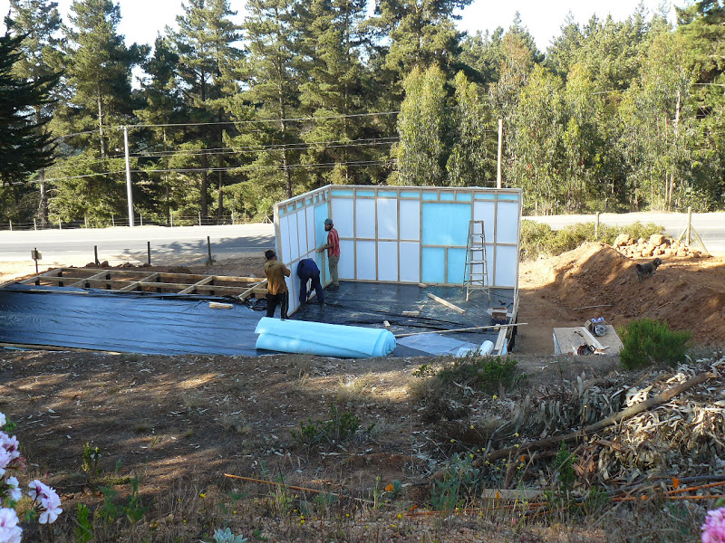 P1460165.JPG