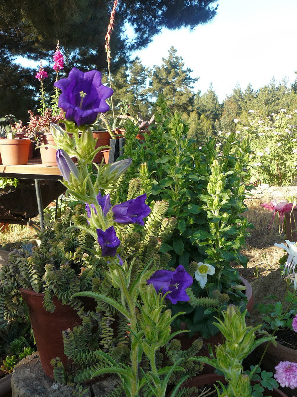 P1460170.JPG