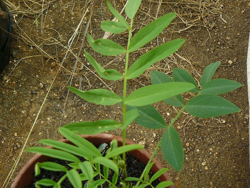 P1460201.JPG