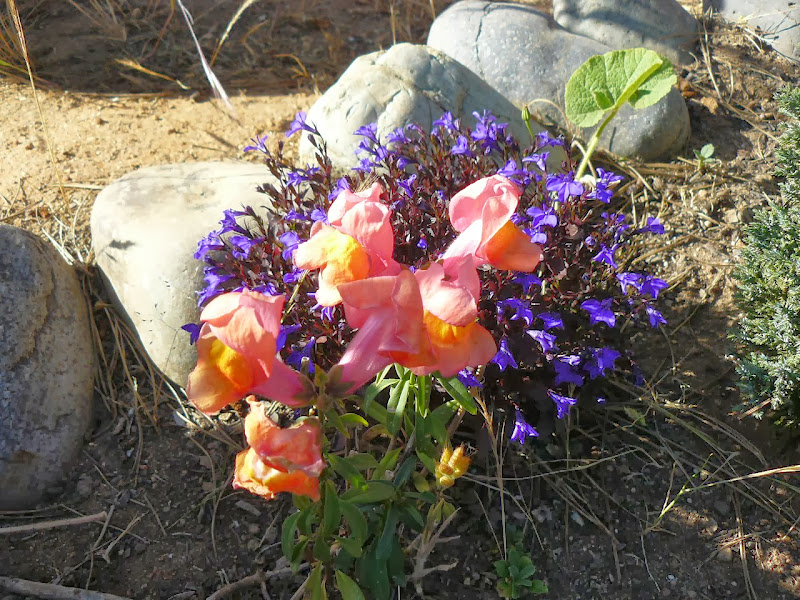 P1460333.JPG