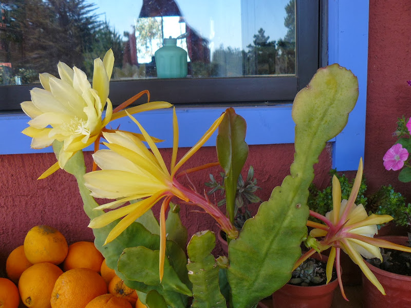 P1460352.JPG