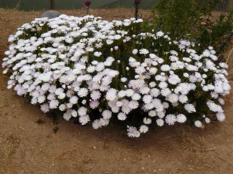 P1460417.JPG