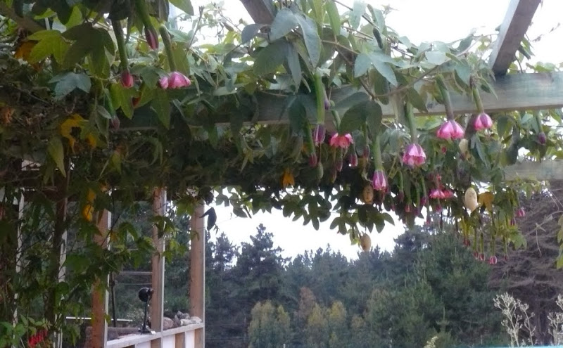 P1460564.JPG