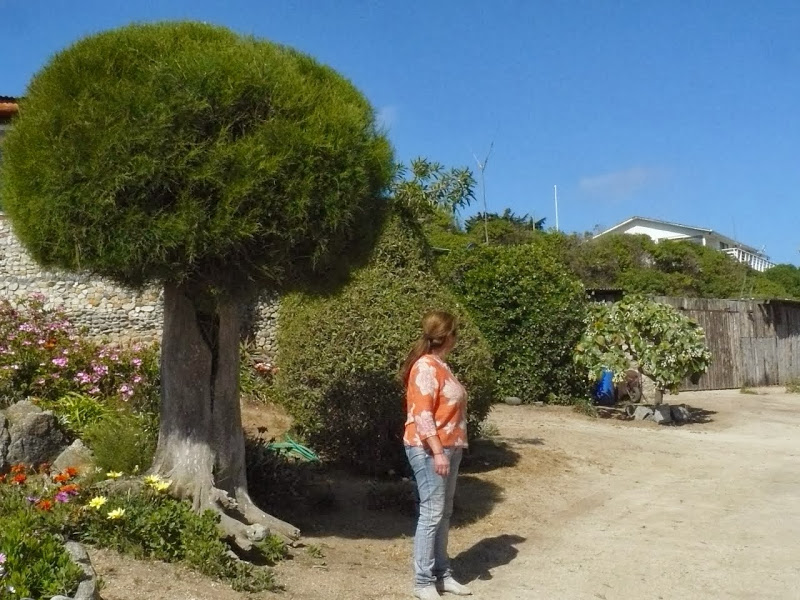 P1460679.JPG