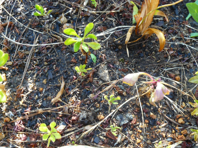 P1470076.JPG