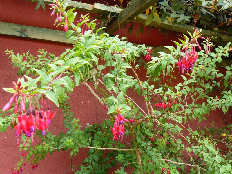 P1470085.JPG
