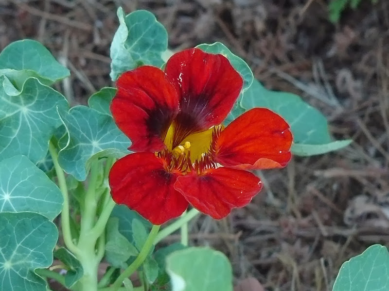 P1470355.JPG