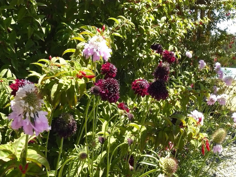 P1470516.JPG