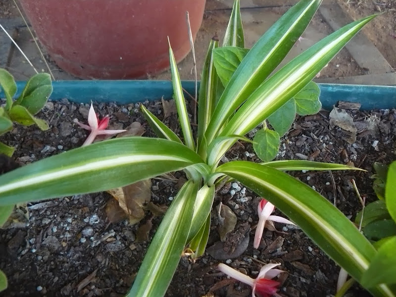 P1470850.JPG