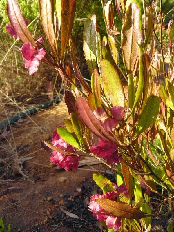 P1470887.JPG