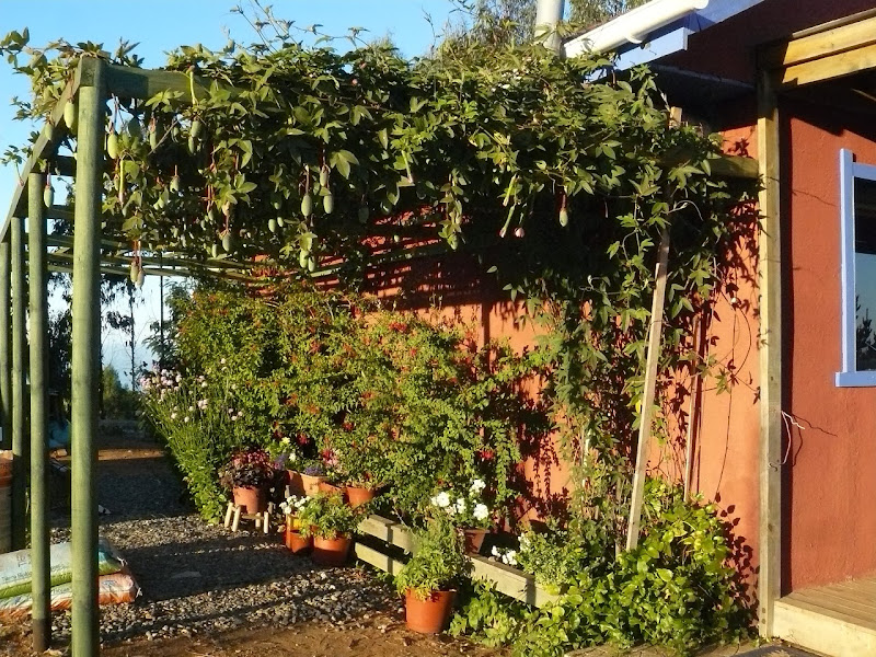 P1470902.JPG